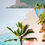 Thumbnail: AFTER THE RAIN