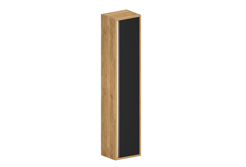5 - PARMA. WALL-MOUNTED TALL UNIT
