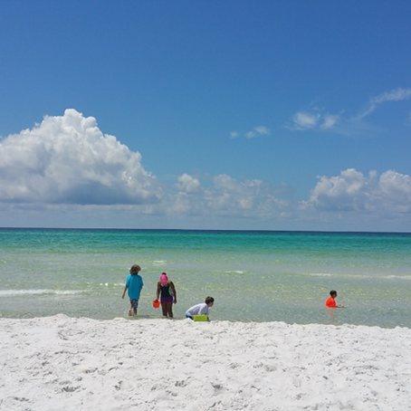 Florida Wants to Turn Our State Parks into Golf Courses!