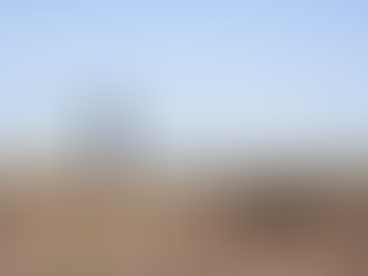 Inicia en Ahome programa de apoyo con semilla mejorada de cacahuate para productores temporaleros