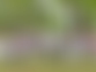 Ayuntamiento de El Fuerte y sector educativo trabajan en coordinación para próximos eventos cultural