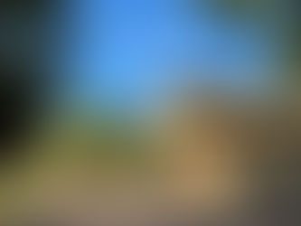 ¡El emblemático Malecón de El Fuerte! 🌳☀️