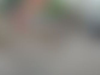 Recoge Servicios Públicos 34 toneladas de basura después de la lluvia.