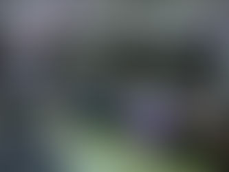 Habrá reglas de operación claras para los productores de maíz: Rocha