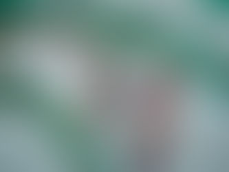 La Expo Agro 2025 refleja el rostro productivo de Sinaloa