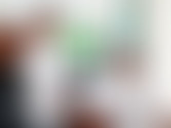 Líderes y activistas encabezan las filas del Verde en Sinaloa