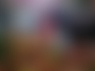 Cómo nunca Sinaloa le ha invertido y gestionado recurso a la agricultura: Rocha, al asistir al Informe de la AARSP