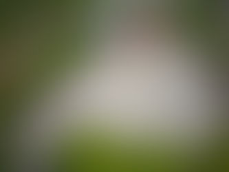 Gobierno de El Fuerte rehabilita campo de fútbol en Escuela Primaria Club Activo 20-30.