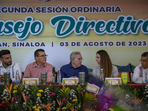 El deporte es fundamental para consolidar la formación de valores entre los jóvenes: Rocha