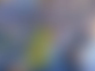 Gobierno de El Fuerte conmemora el 107 Aniversario de la Constitución Mexicana.