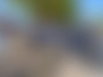 Es un orgullo sumarme al programa de limpieza de mi municipio: Ana Karen, oficinista del Ayuntamieno