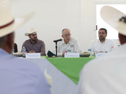 Implementará SADER estrategias y recursos para recuperar status ganadero de Sinaloa: Berdegué Sacristán