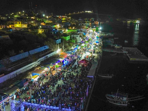 “El carnaval ‘Encuentro de Hadas’ superó las expectativas de ahomenses y turistas”: GVL