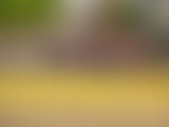 Promueven cultura de respeto vial para cuidar a los peatones