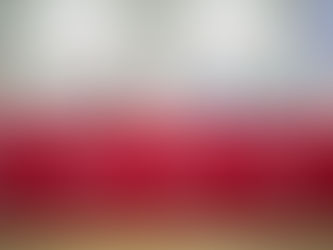 Gobierno destina 8 mdp diarios a obra pública: SOP