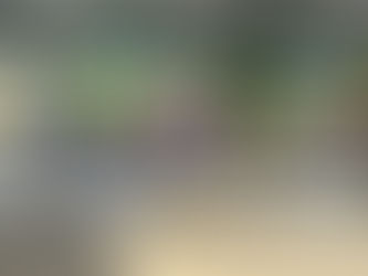 Abierta la ventanilla de enlace ante la Congregación Mariana Trinitaria para recibir solicitud