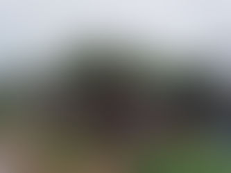 NUEVO ALCALDE, ¿MISMA POLÍTICA?