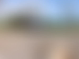 Ante sequía, animales salvajes dejan su hábitat en busca de agua