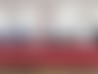 Necesaria reforma en obra pública para Sinaloa: Rosa Elena Millán