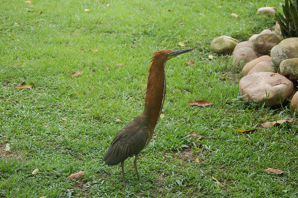 DSC_0101-XL