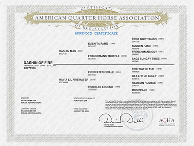 Scan_20260912_edited.png