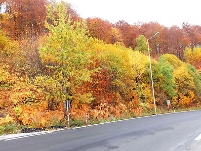 20181021_102452.jpg
