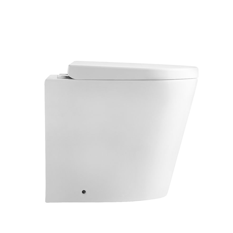 Thumbnail: R321BW Back To Wall Toilet