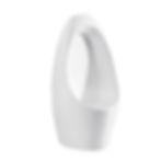 Thumbnail: UR605 Wall Hung Urinal