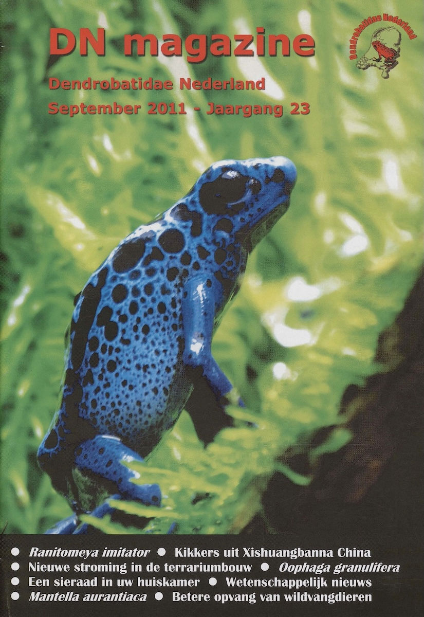 DN magazine jaargang 32 maart 2020