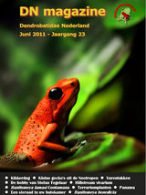 DN magazine juni 2011