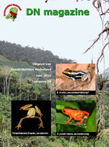 DN magazine juni 2012