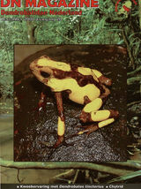 DN magazine december 2008