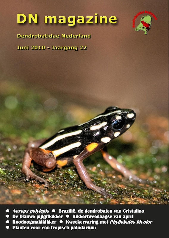 DN magazine jaargang 32 maart 2020 