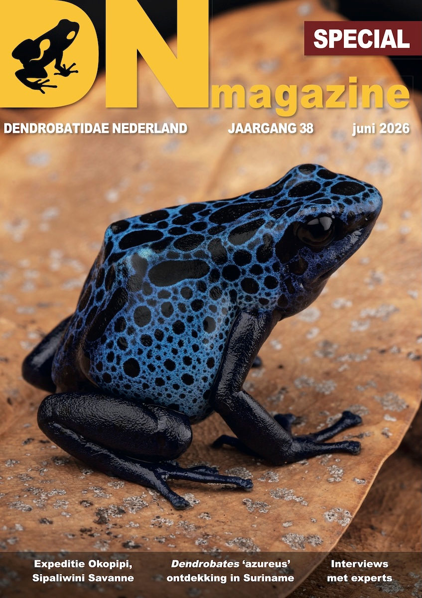DN magazine juni 2026