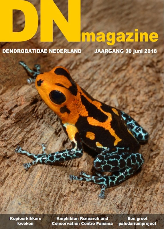DN magazine jaargang 32 maart 2020 