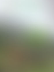 DN magazine september 2012