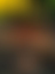 DN magazine maart 2015