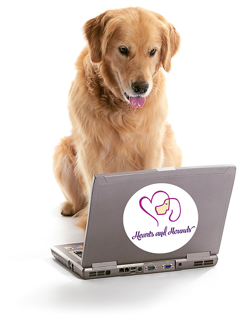 Contact Us Hearts and Hounds Dog Training Vancouver