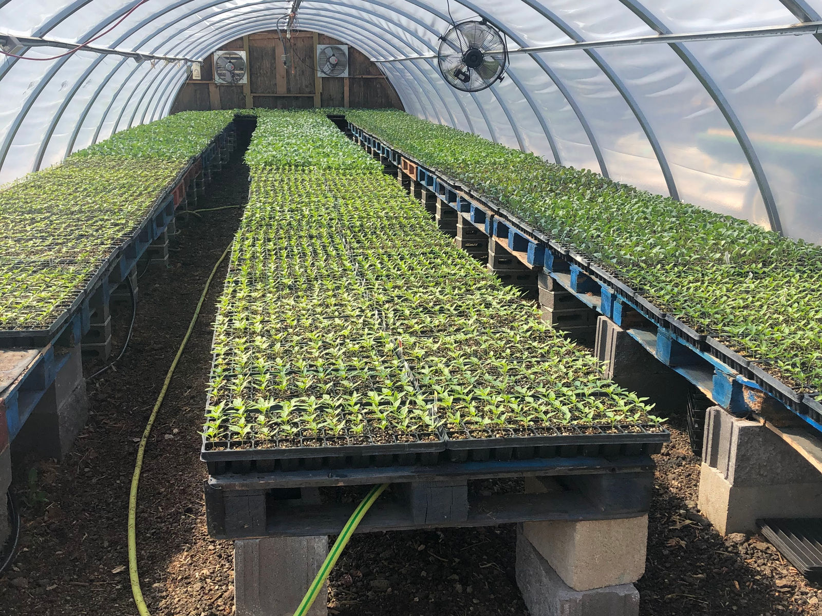 Meyer Family Farms Vegetable Stand