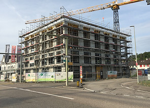 IMG_9561.JPG