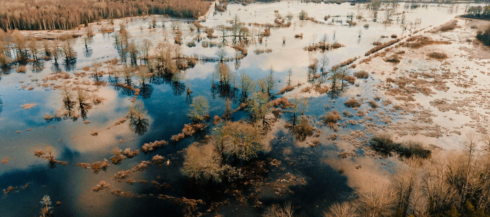 Flood in Soomaa National Park