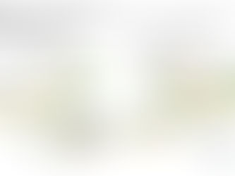 Reports about the death of single-family zoning have been greatly exaggerated