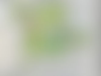 Featured customer: UrbanLens Planning, LLC