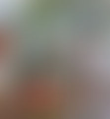 एक पौधा भावी पीढ़ियों को शुद्ध पर्यावरण का उपहार: SSP आयुष अग्रवाल