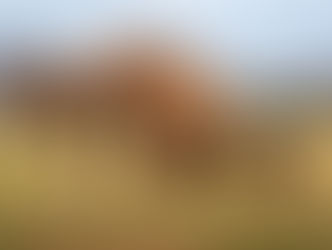 हाथी की संख्या का आकलन, देश में पांचवें नंबर पर सबसे अधिक उत्तराखंड में