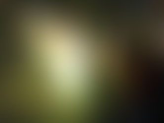 दिवाली पर पटाखों से आग लगने की 66 घटनाएं, समय रहते आग पर पाया काबू