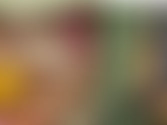 महिलाओं को आत्मनिर्भर बनने का मौका, मूंज घास से निर्मित उत्पादों की दी जा रही ट्रेनिंग