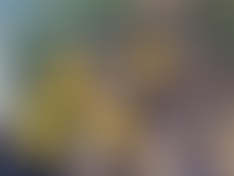 Rishikesh: पहाड़ से खड़े ट्रक पर गिरा मलबा, नदी में समाया पूरा ट्रक, दो युवक लापता 