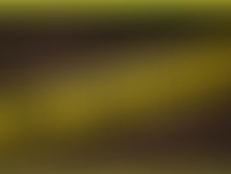 ऋषिकेश में सनसनीखेज वारदात: नोएडा के युवक की गोली मारकर हत्या, CCTV में कैद हुए हमलावर