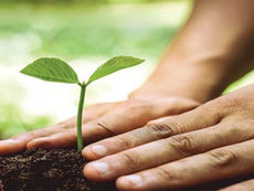 ऋषिकेश को हरा-भरा बनाने में जुटे कई संगठन, पौधरोपण से प्रकृति बचाने का संकल्प